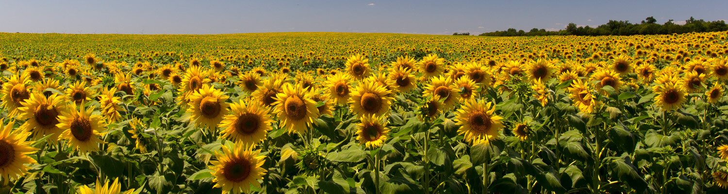 Weerbericht Frankrijk, Frankrijk weersverwachting, Frankrijk weer, Franse weersite, het weer in de Dordogne