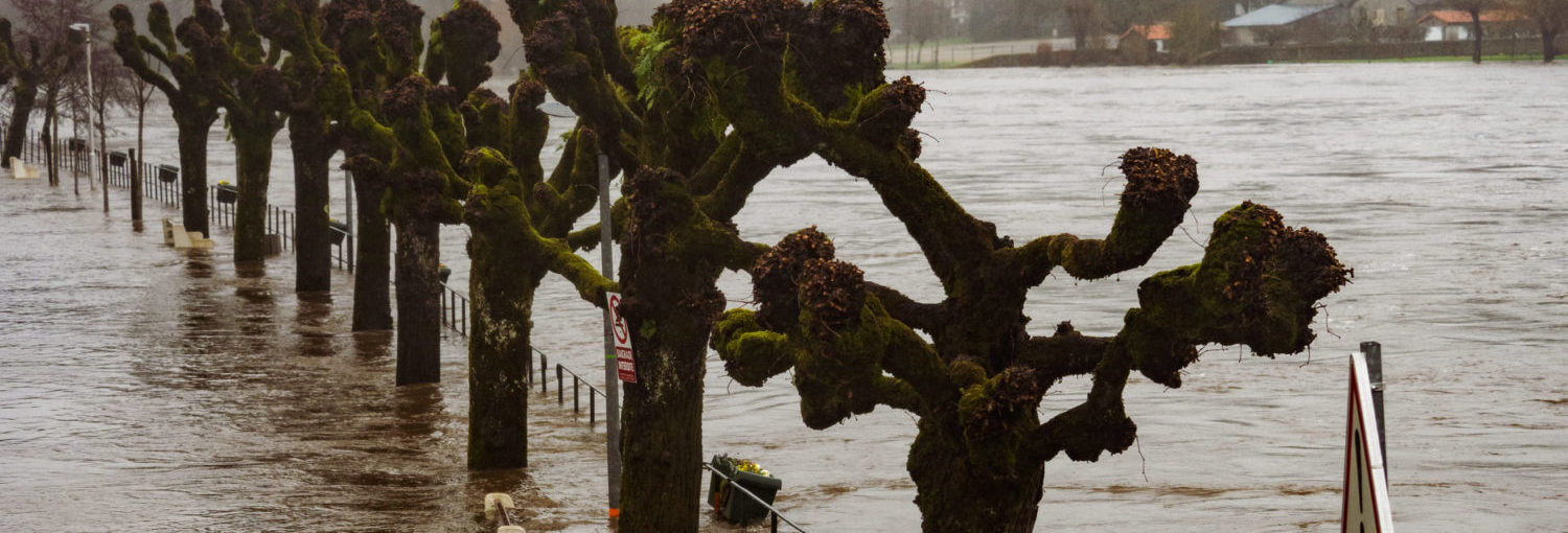 Weerbericht Frankrijk, Frankrijk weersverwachting, Frankrijk weer, Franse weersite, het weer in de Dordogne