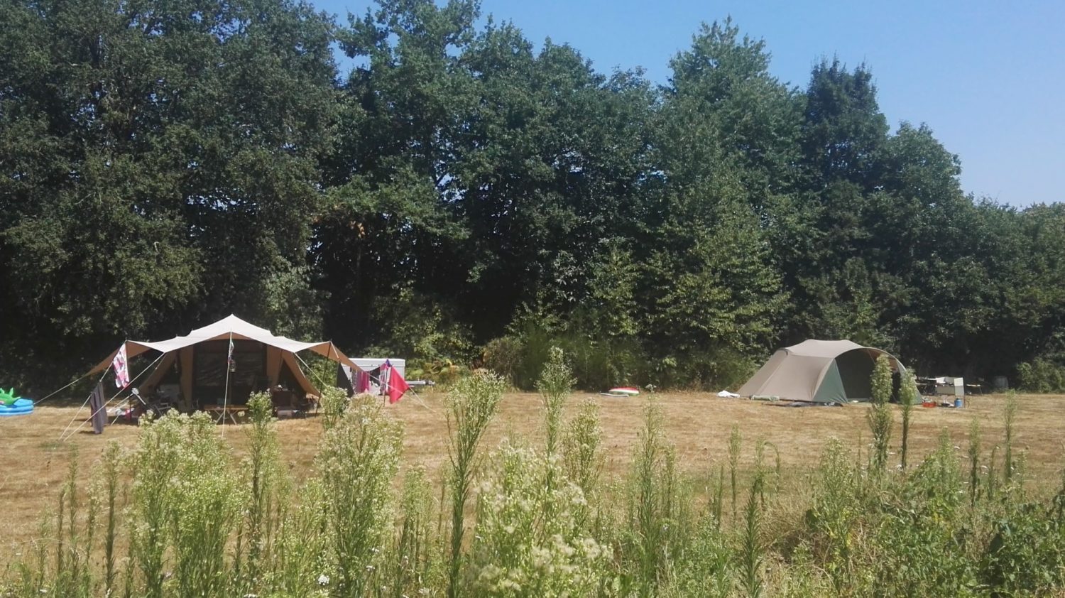 A spacious campsite
