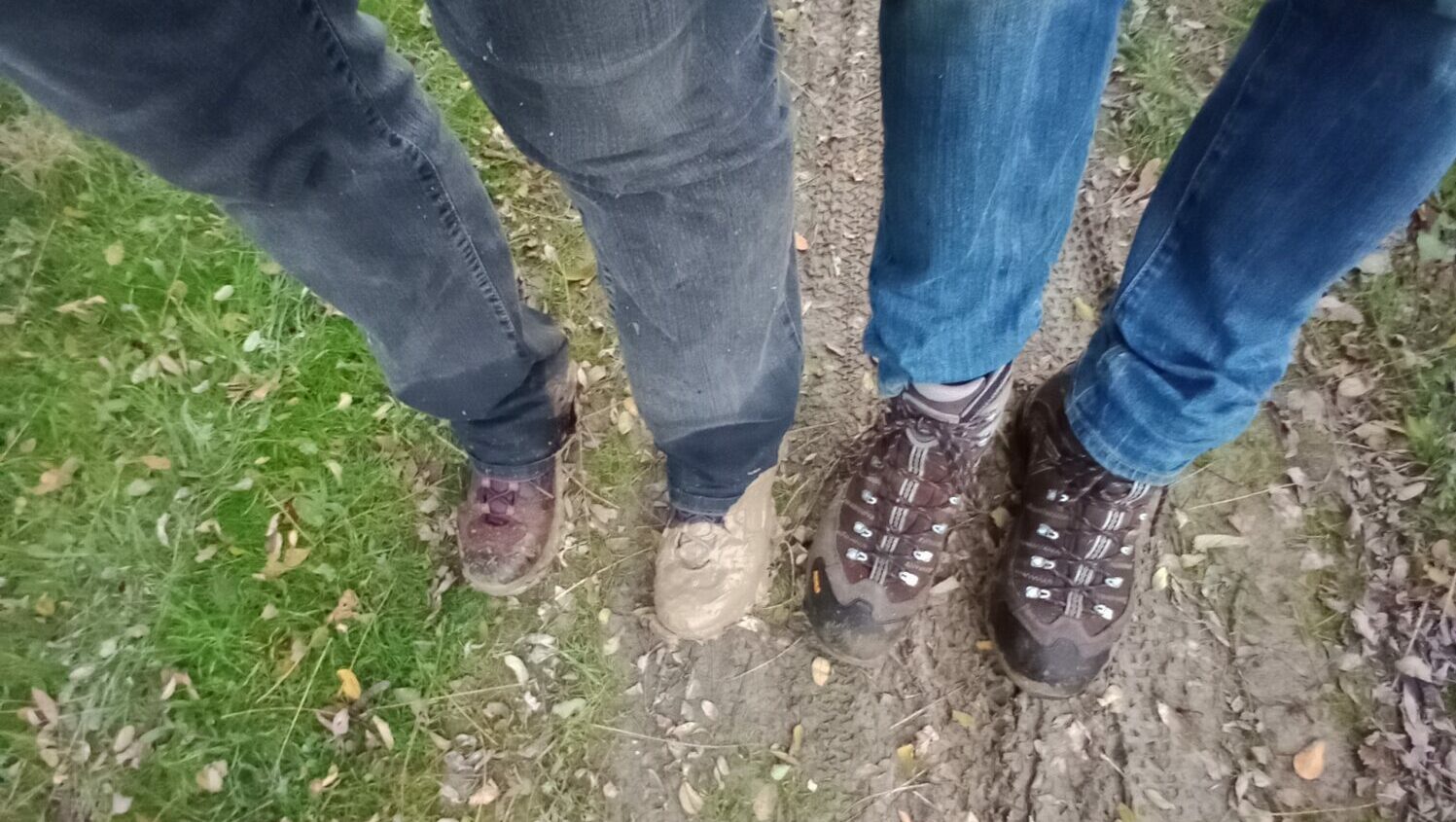 Wandelschoenen