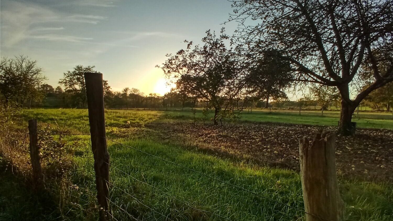 Wandelpad langs voormalige wijngaard